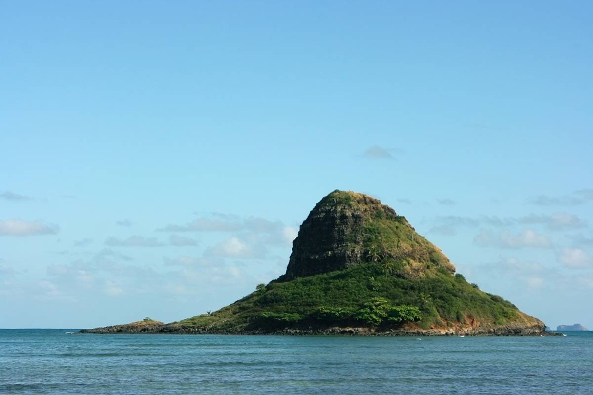 Endemic: South & East Galapagos Islands