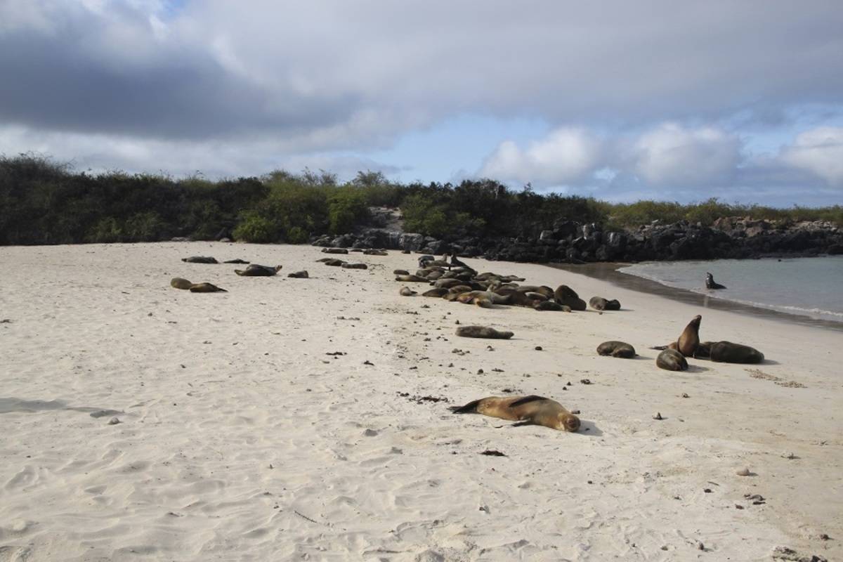 South & East Galapagos Islands