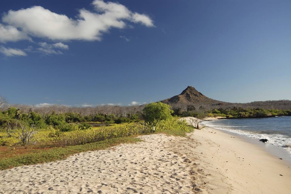 Santa Cruz & Santiago Galapagos Islands