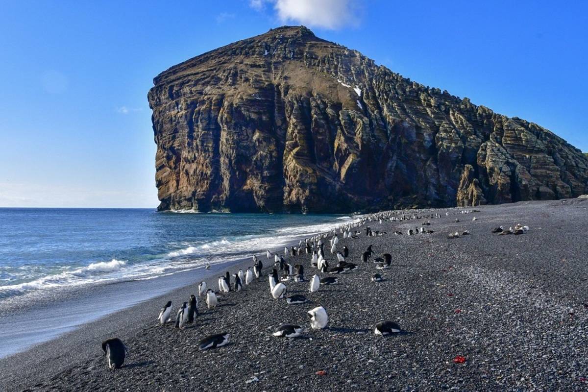 Falklands, South Georgia & Antarctica