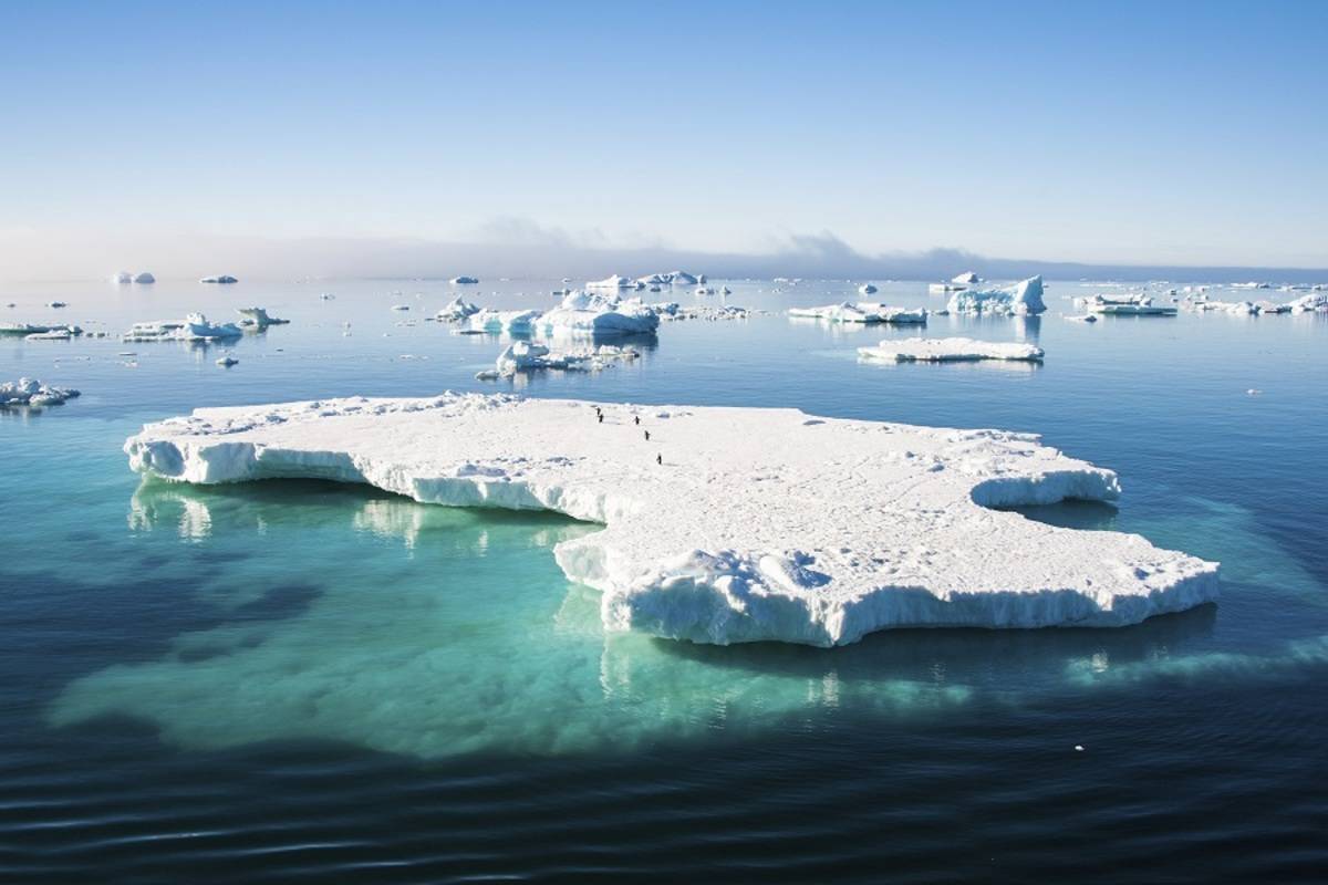 M/V Plancius: Atlantic Odyssey, including Antarctic Peninsula