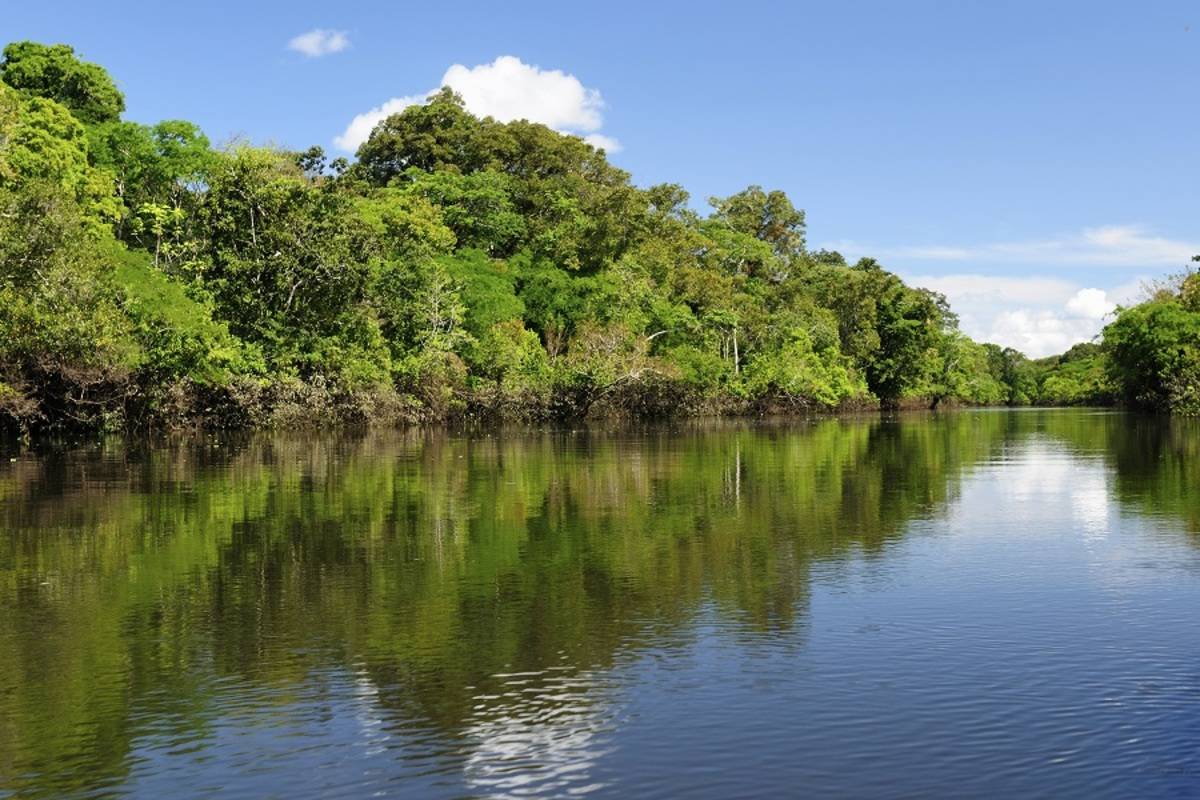 M/V La Perla: Amazon River Cruise