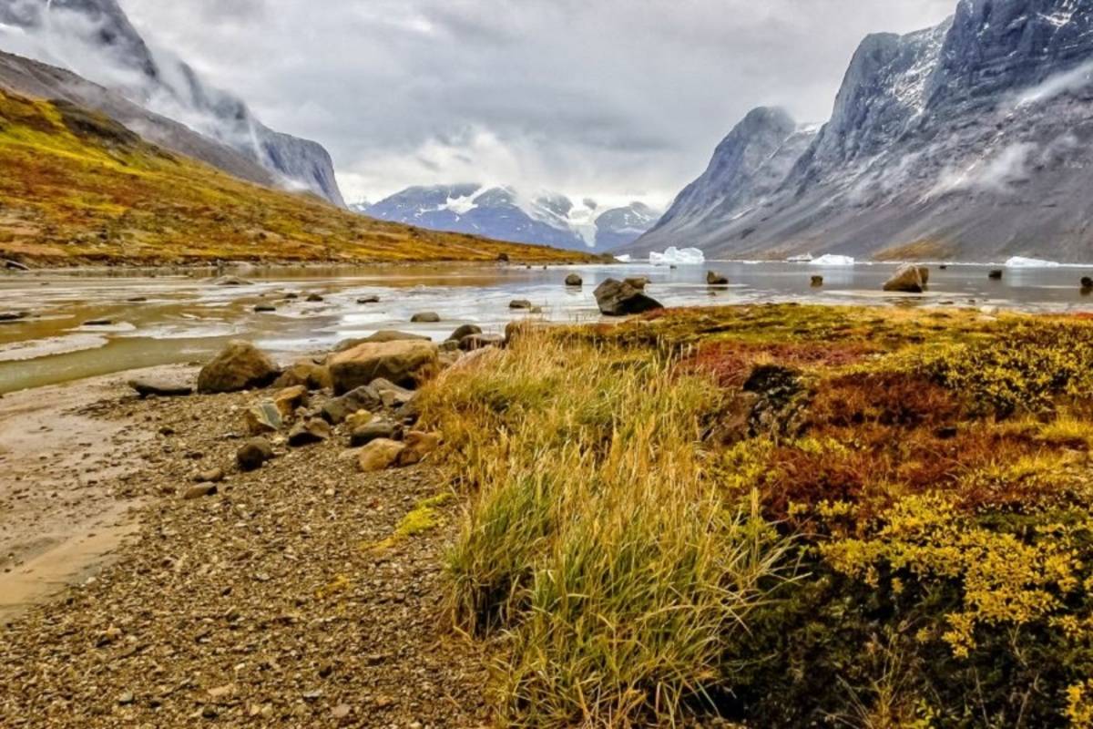 Ocean Endeavour: In the Wake of the Vikings - Iceland to Greenland