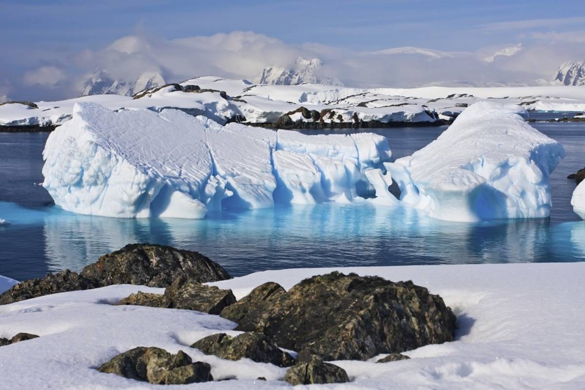 Antarctic Peninsula - Realm of Penguins & Icebergs