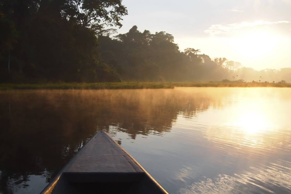 Pacaya Samiria Amazon Cruise - High Water Season