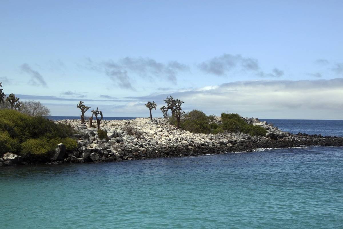 Southern Galapagos Islands (A)