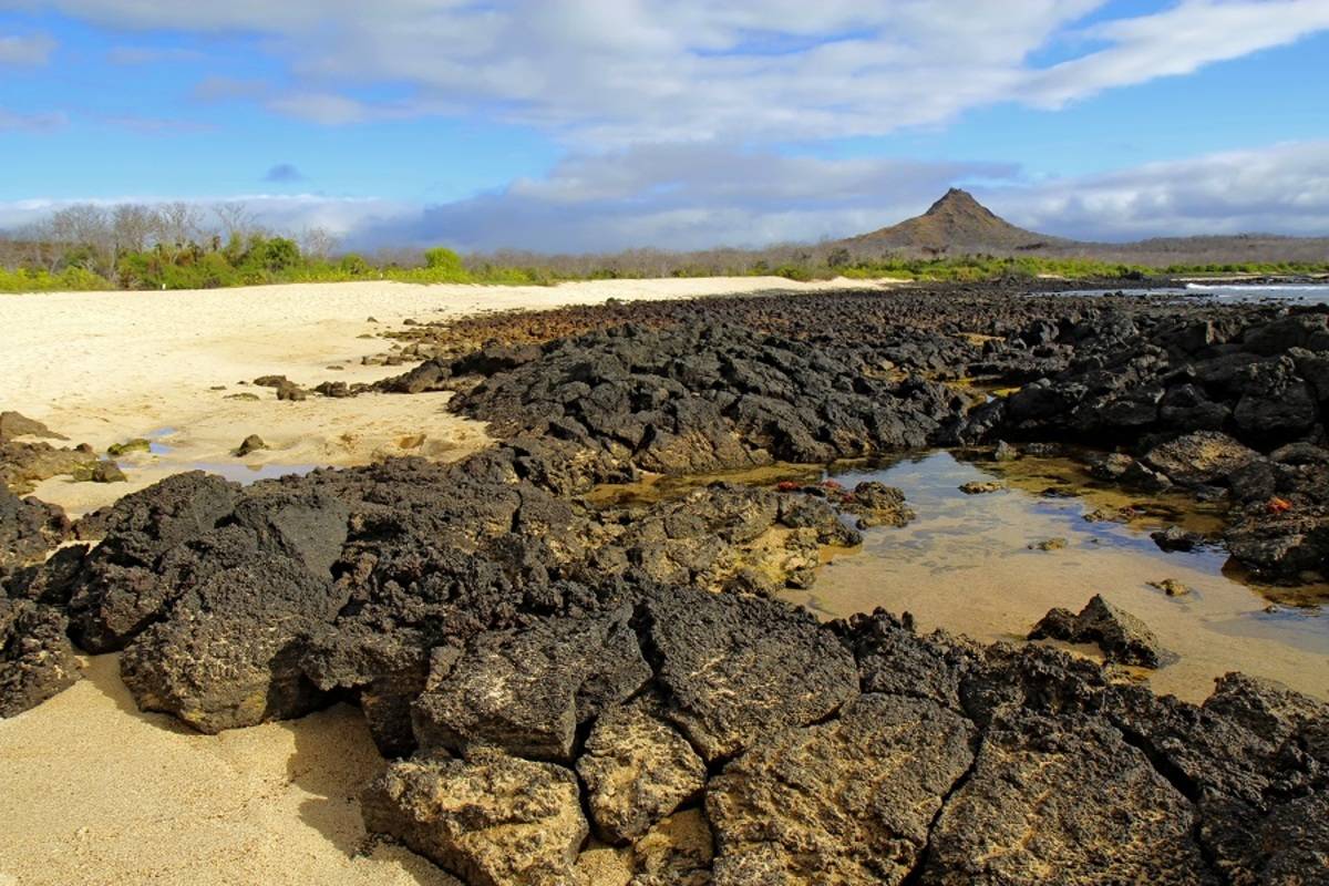 Western Galapagos Islands (D)