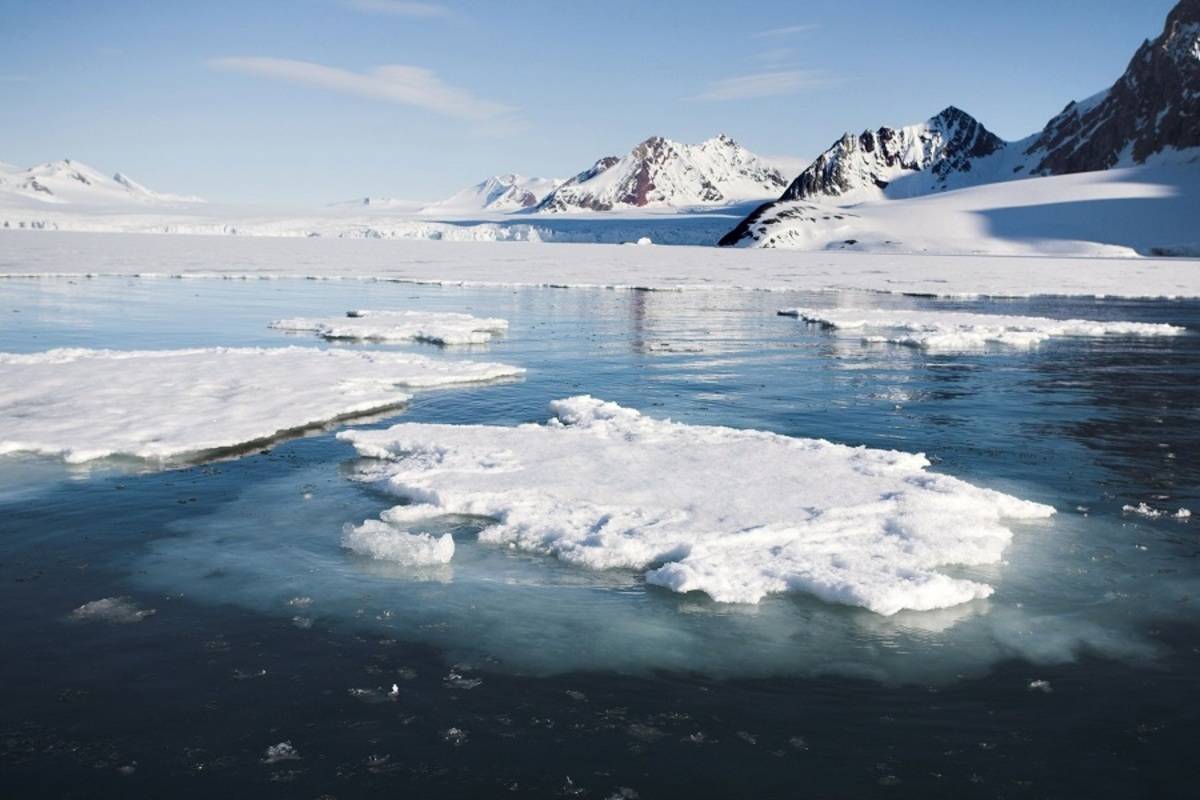 Emblematic Antarctica