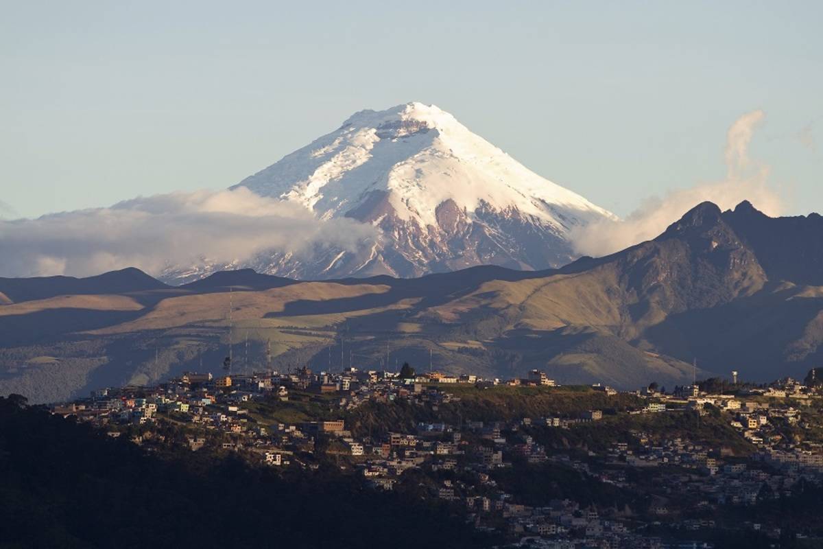 Albatross: Ecuador's Highlands and Galapagos