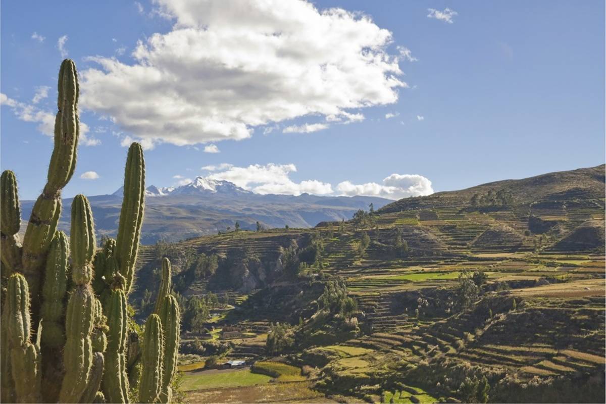 Comprehensive Peru