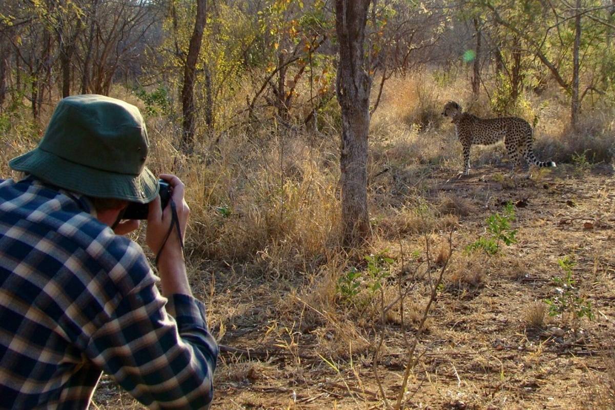 Makutsi Walking Safari