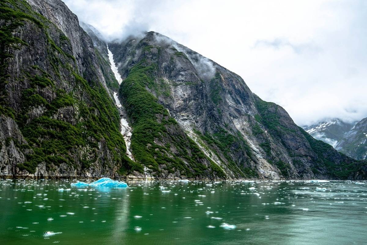 National Geographic Quest: Treasures of the Inside Passage: Sitka to Seattle