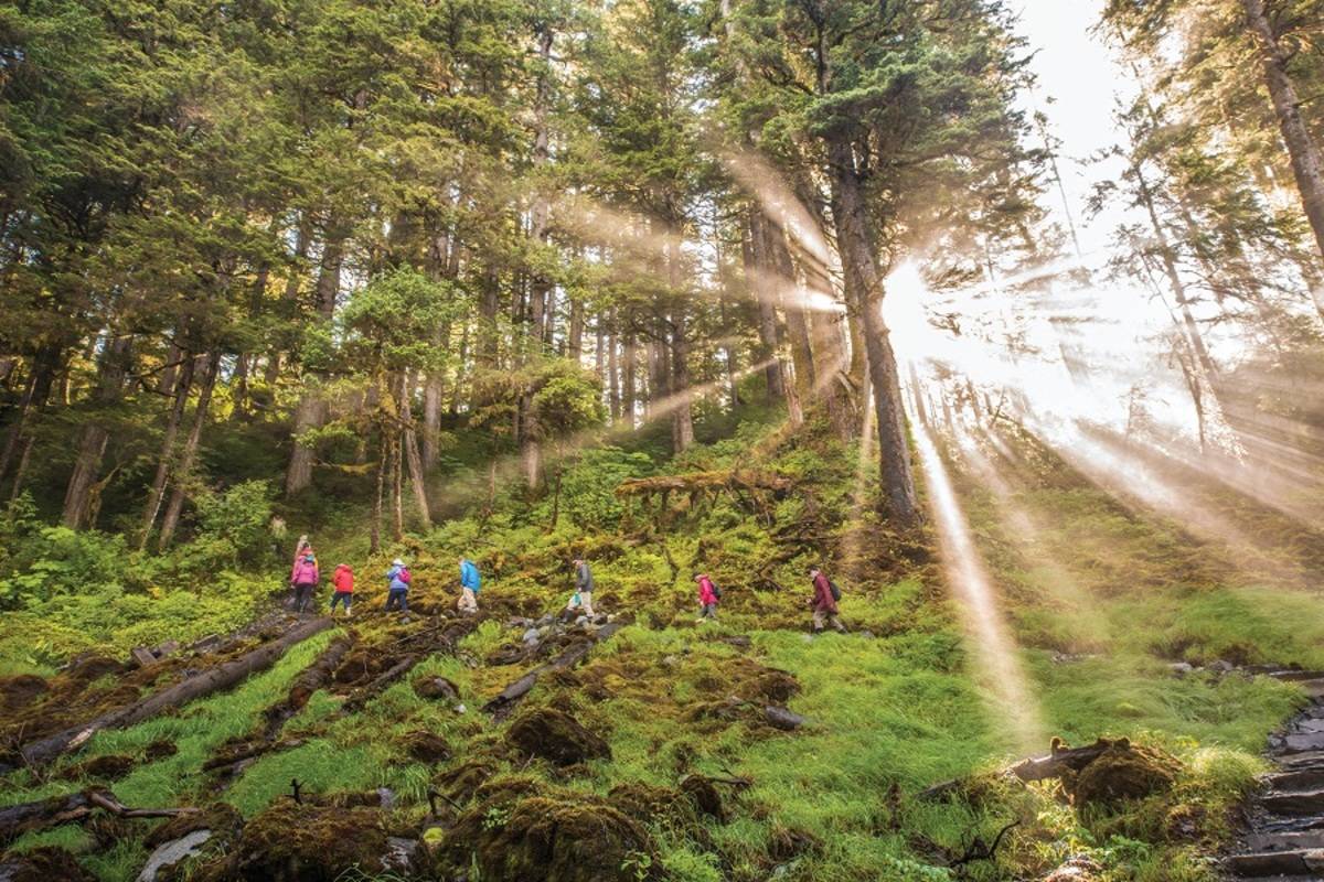 Voyage to Great Bear Rainforest