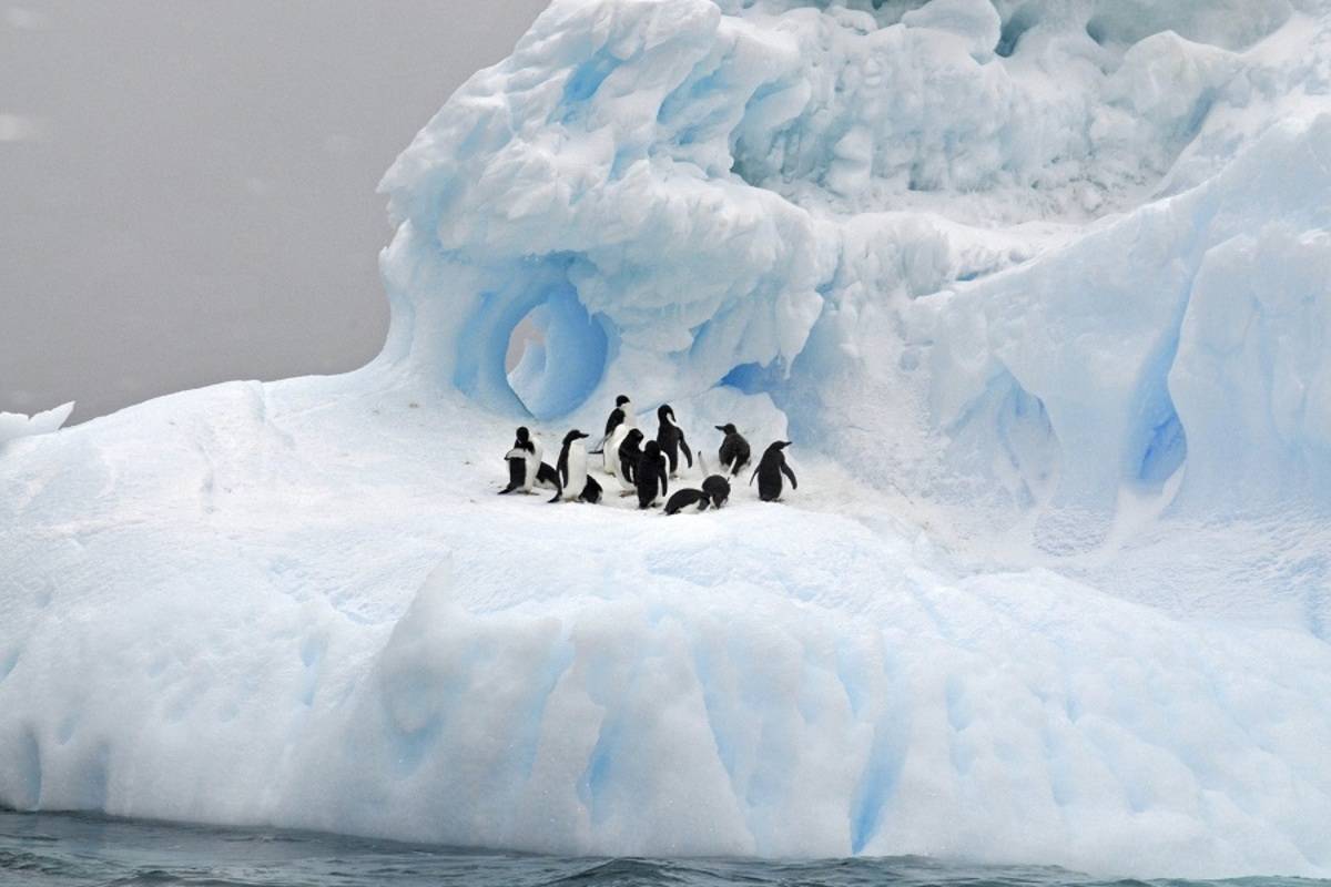 Antarctic Circle - Crossing 66' South Latitude