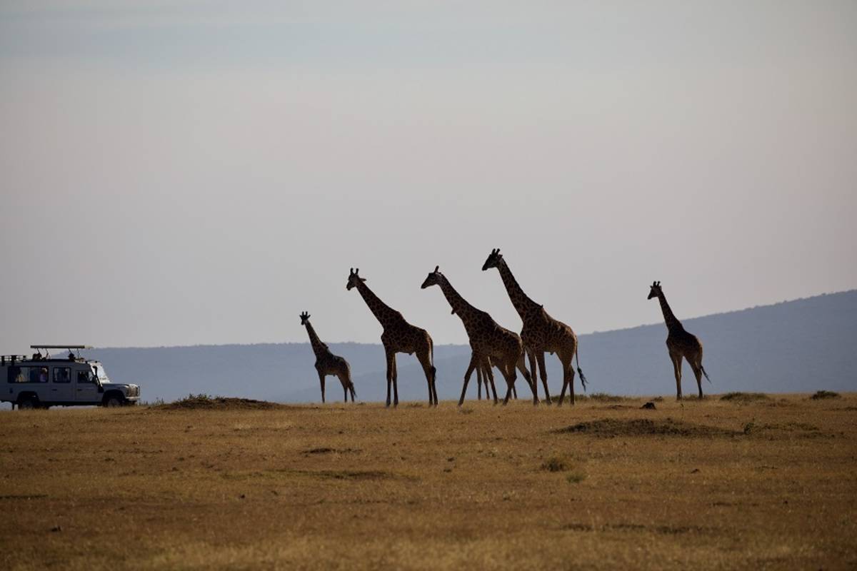 Tanzania Sky Safari by Elewana