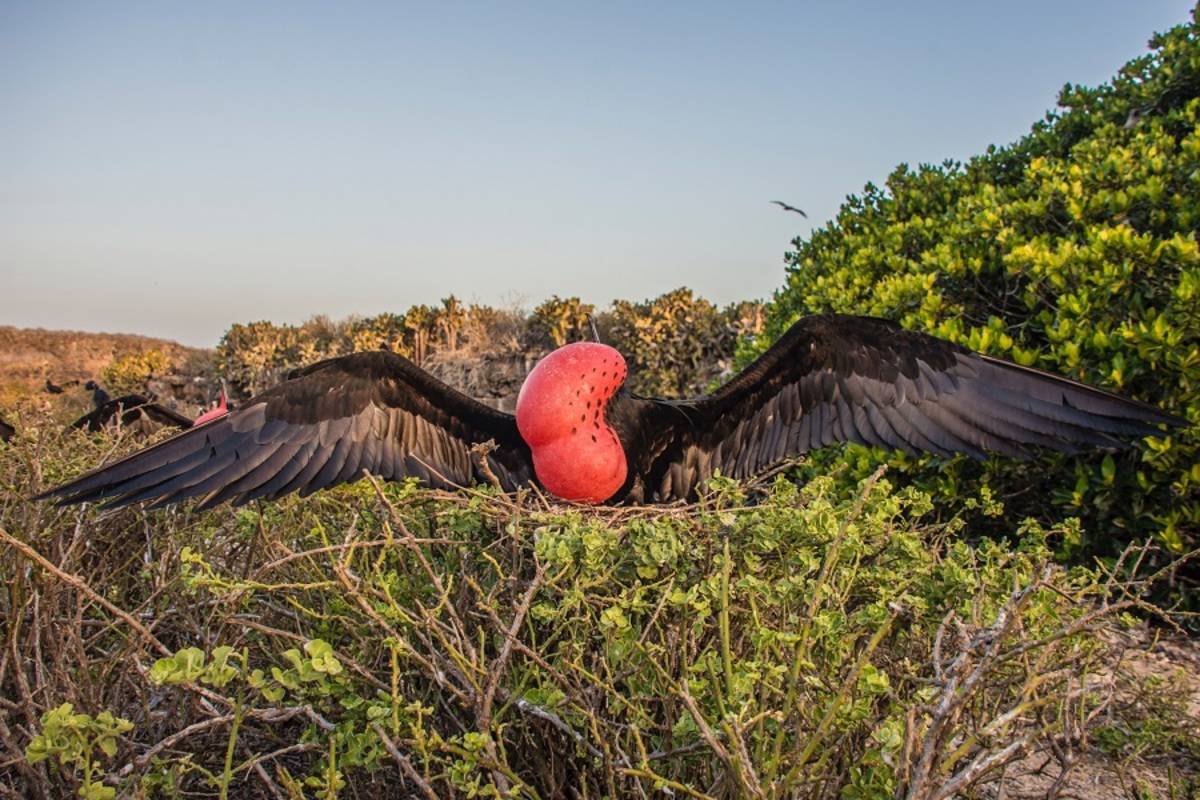 Southeastern Galapagos Islands