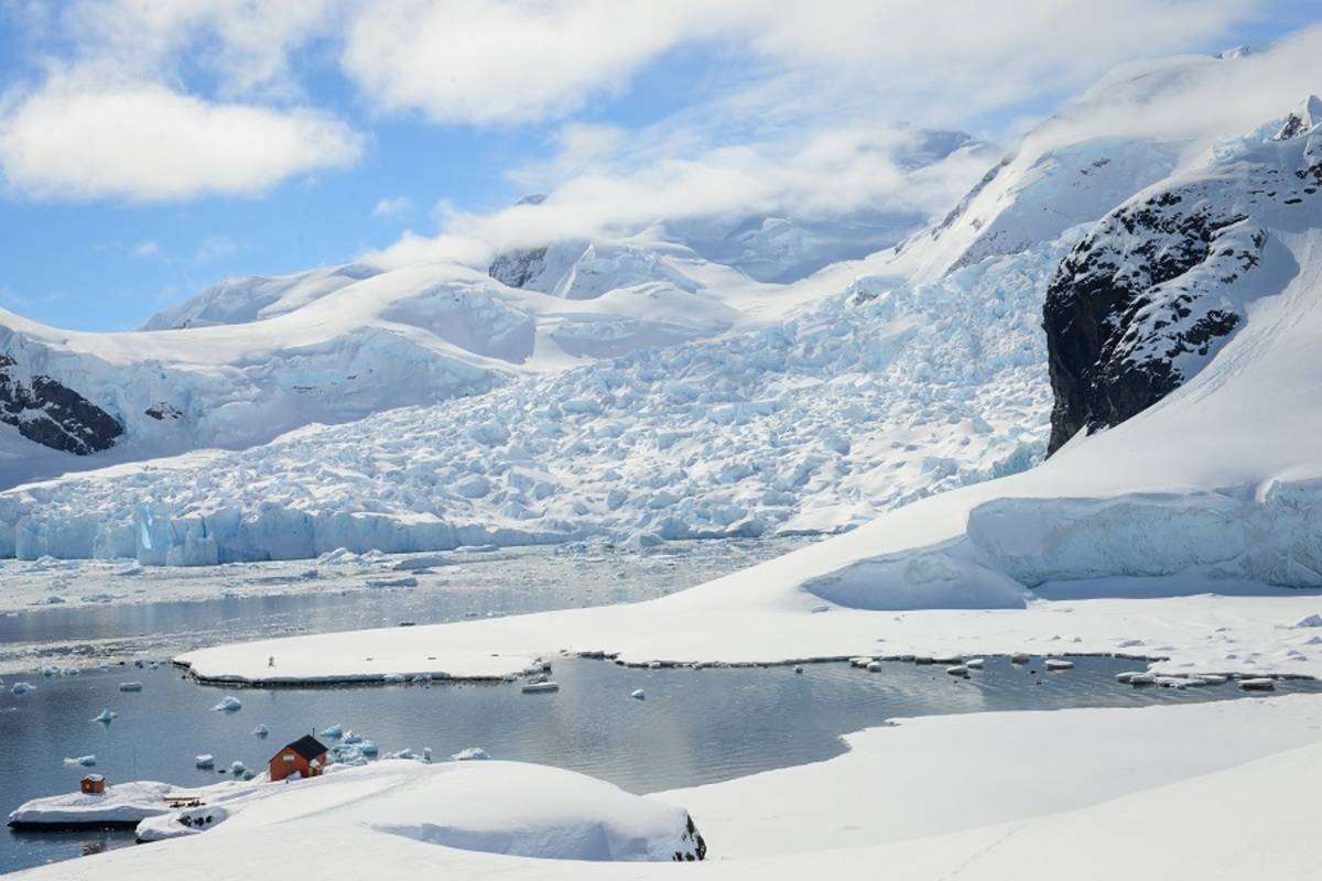 Celebrating Antarctica