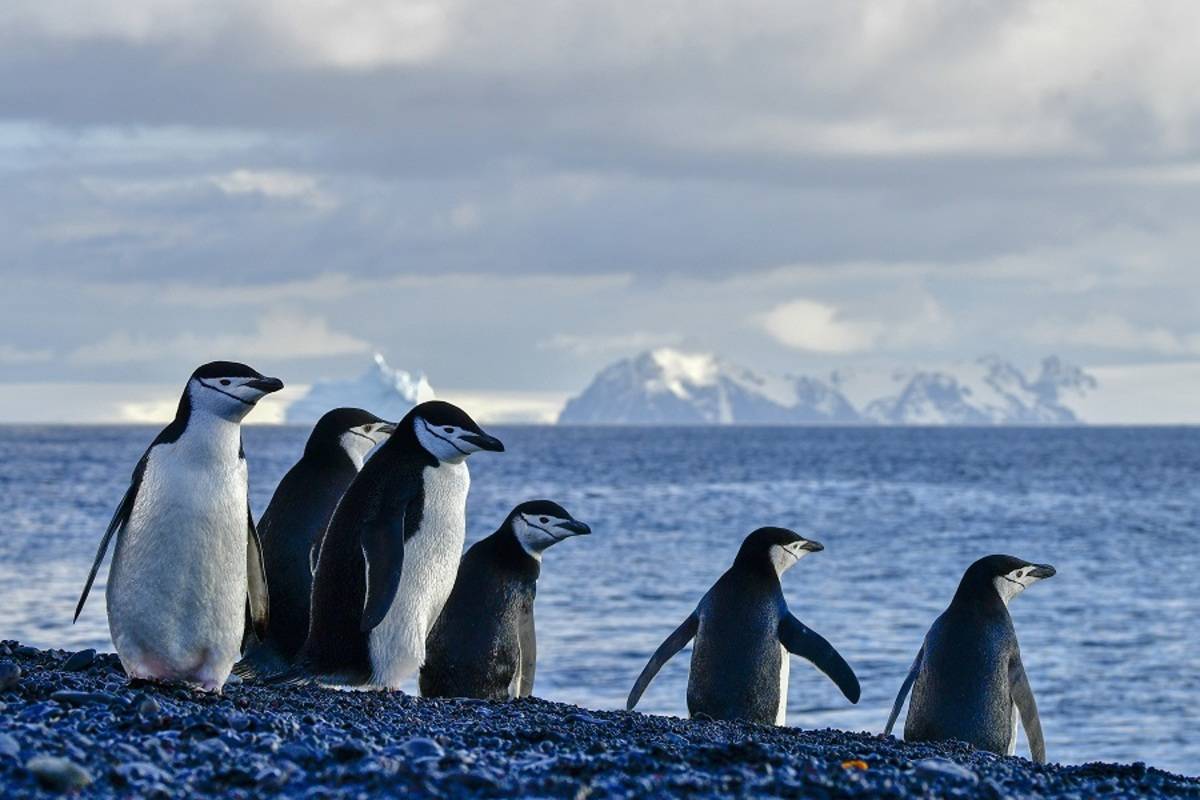 Crossing the Antarctic Circle