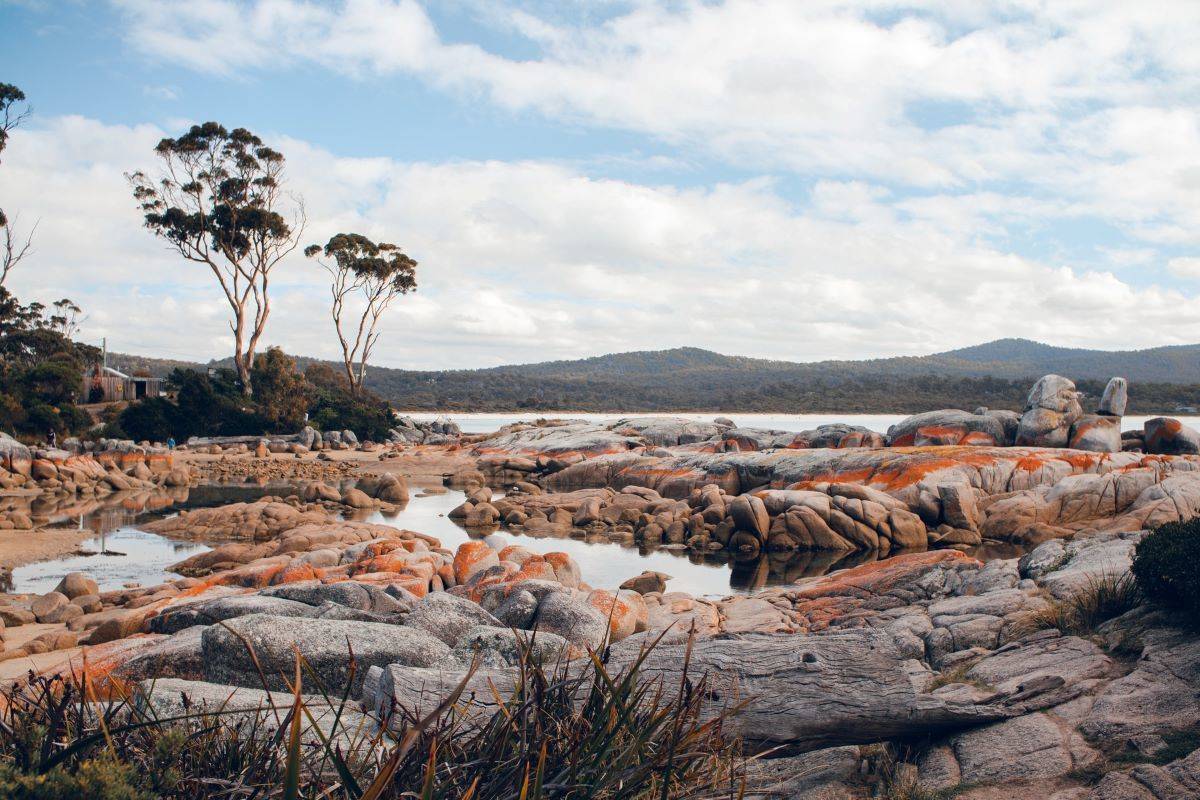 Tasmania's Footsteps and Trails