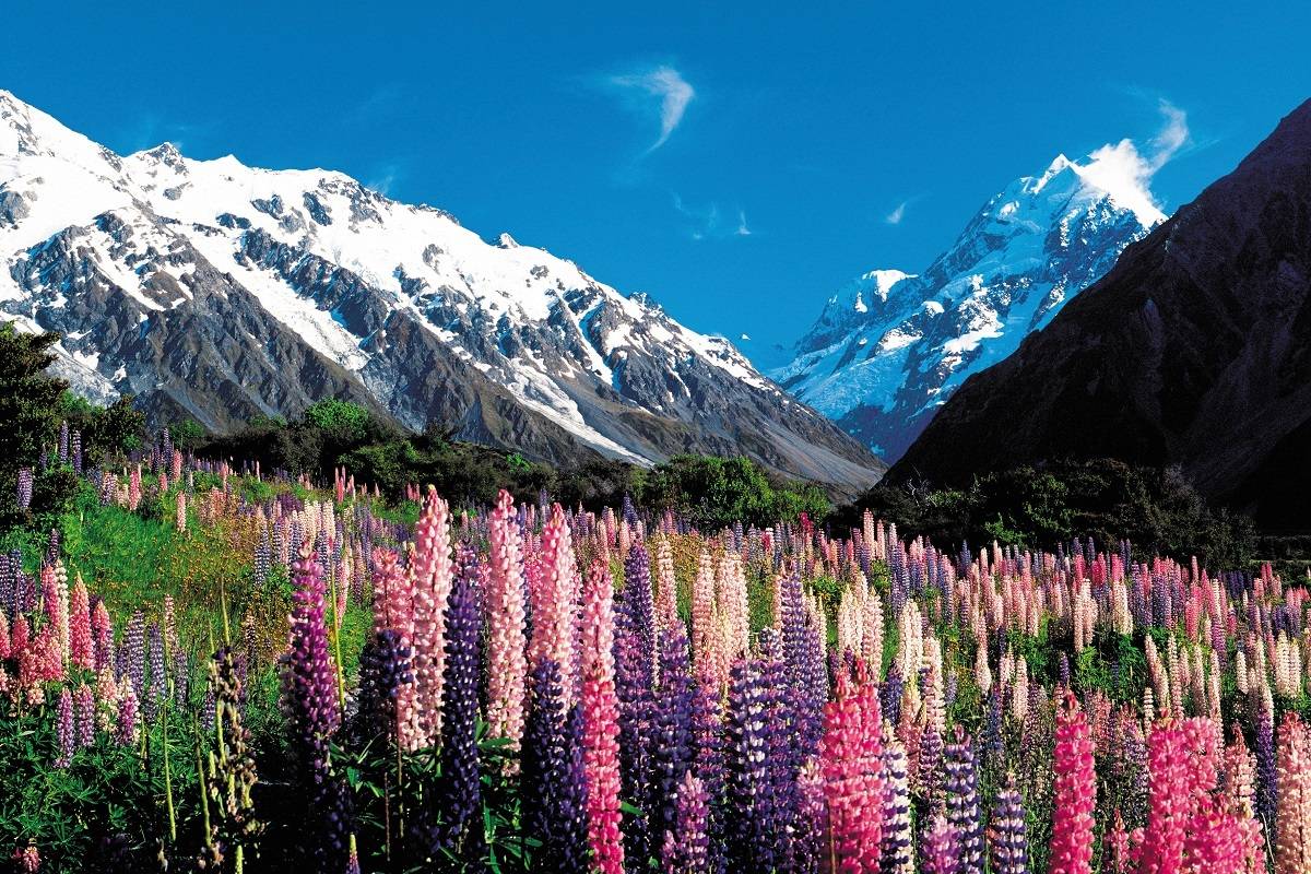 Ultimate South Island Escape