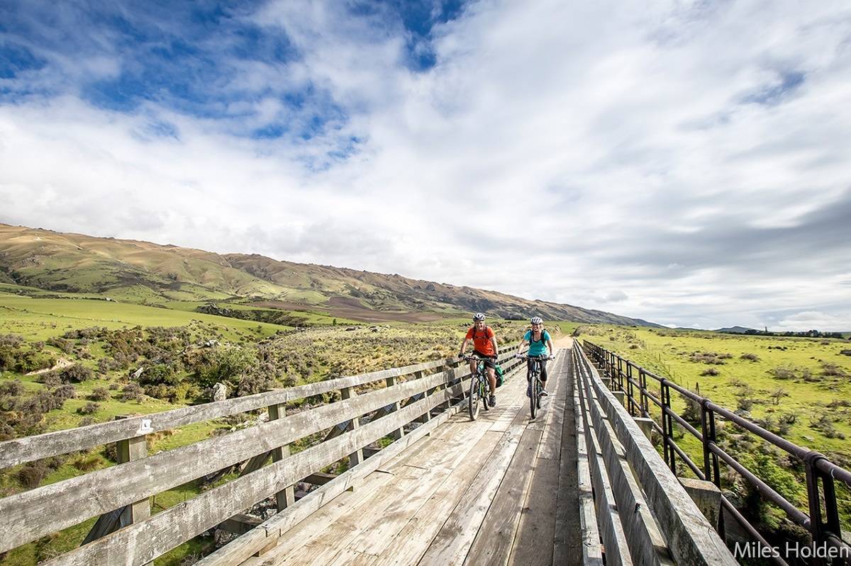 Central Otago Cycling & Pinot Noir