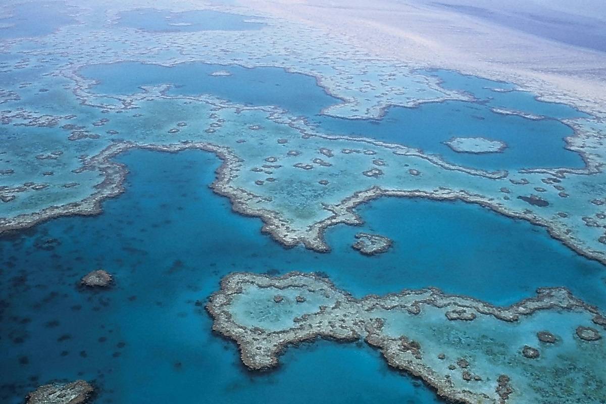 Barrier Reef Air Cruise