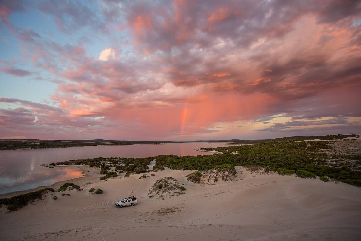 Port Lincoln & Coffin Bay: Seafood & Great White Shark Diving