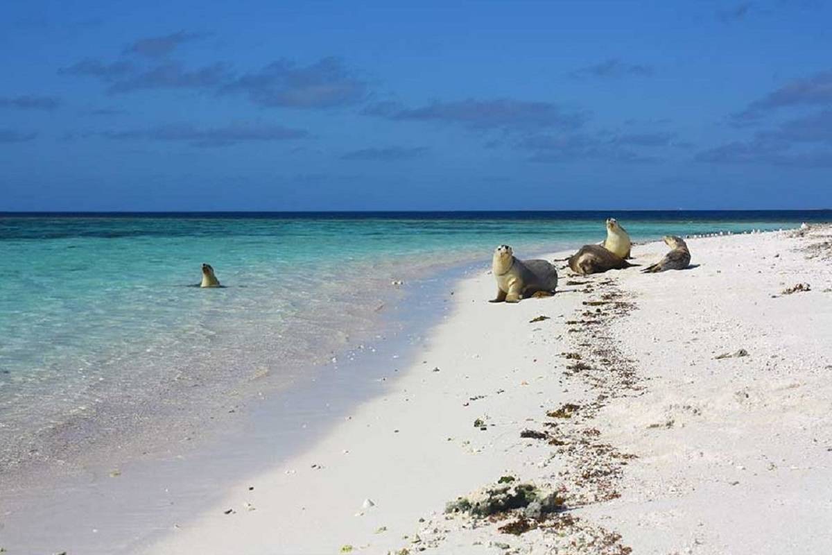 Abrolhos Islands 