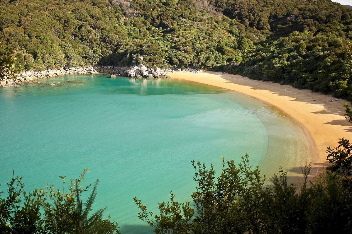 Kayak and Walk in Abel Tasman NP