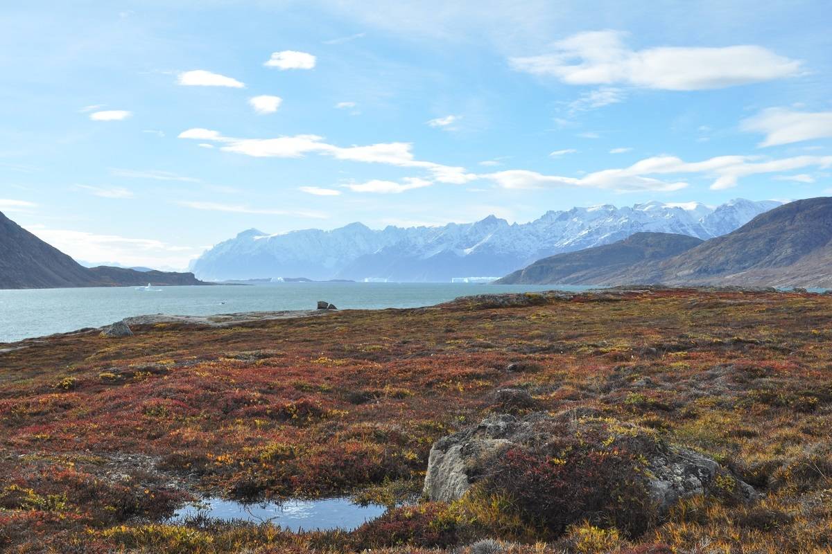 North Spitsbergen - Summer Solstice, In Search of Polar Bear & Pack Ice