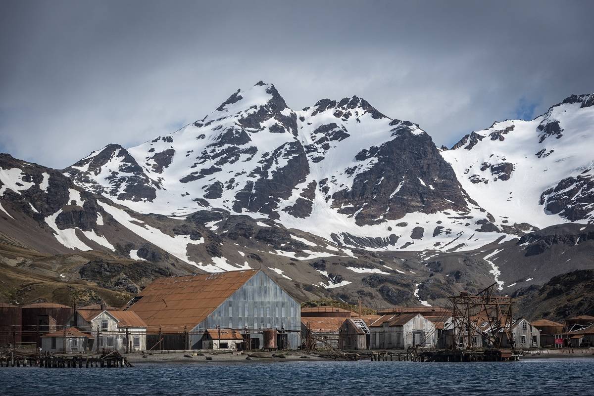 Antarctica & South Georgia Sail/Fly Cruise