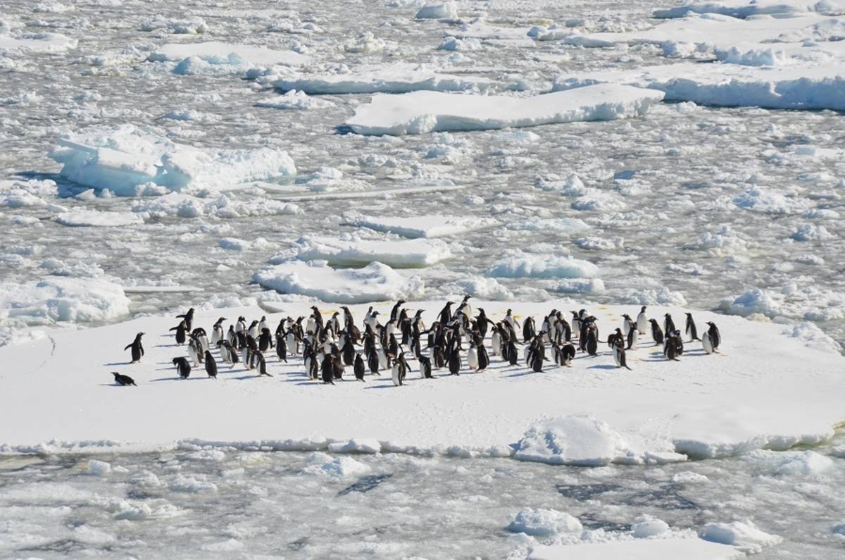 New Years in Antarctica