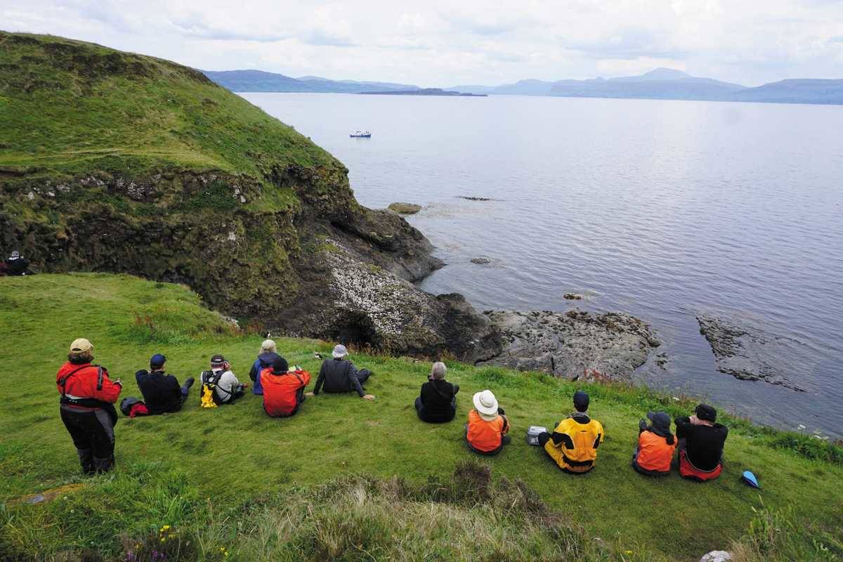 Wild Scotland 