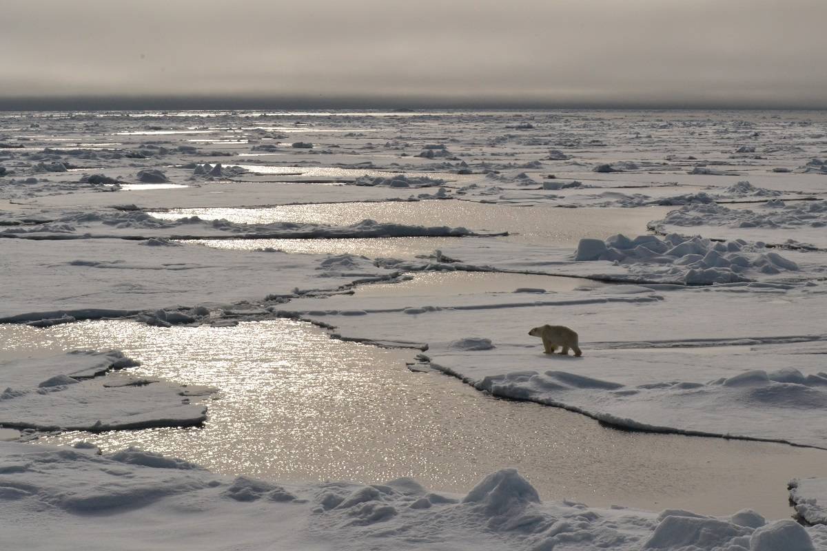 Svalbard Odyssey