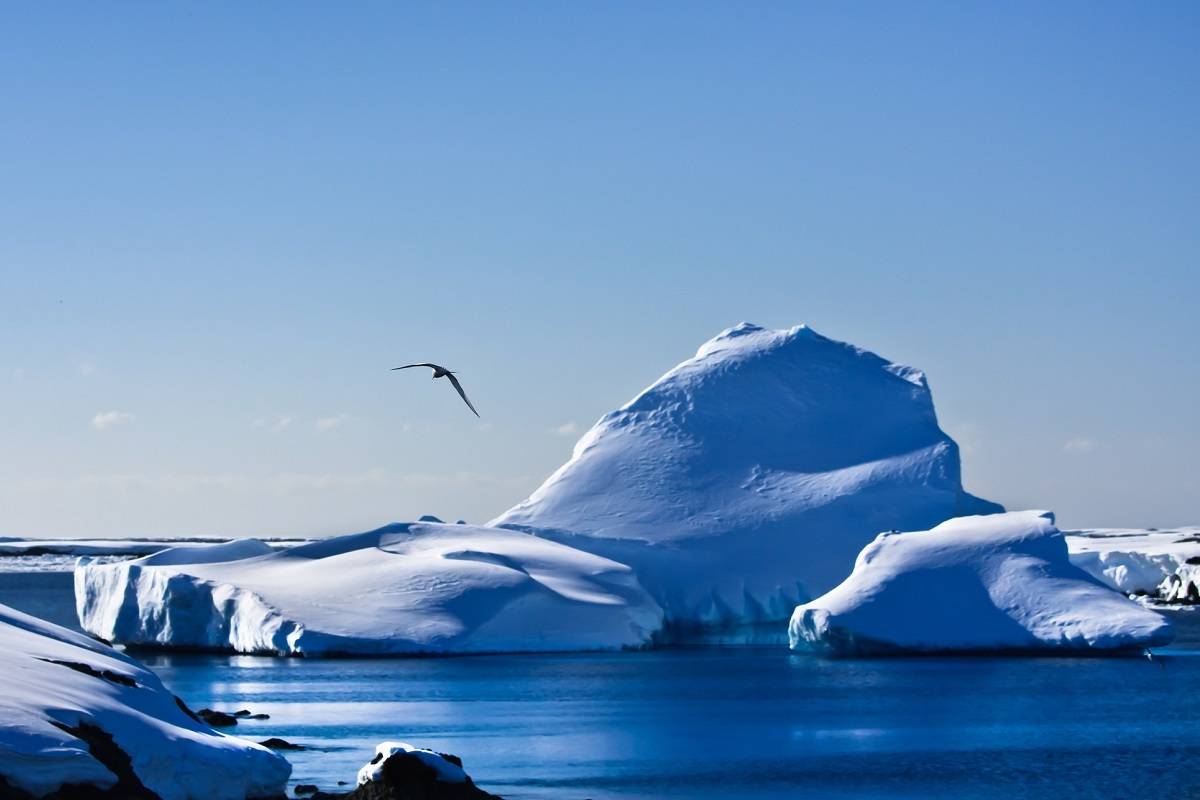 Wild Antarctica (Fly/Sail)