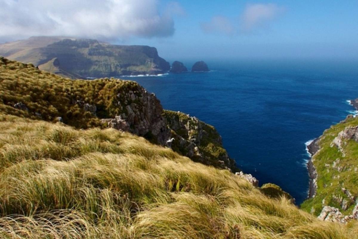 Beyond Fiordland - New Zealand's Wildest Islands