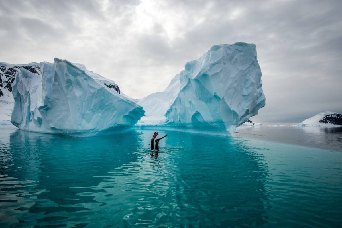 Falklands and Antarctica Peninsula