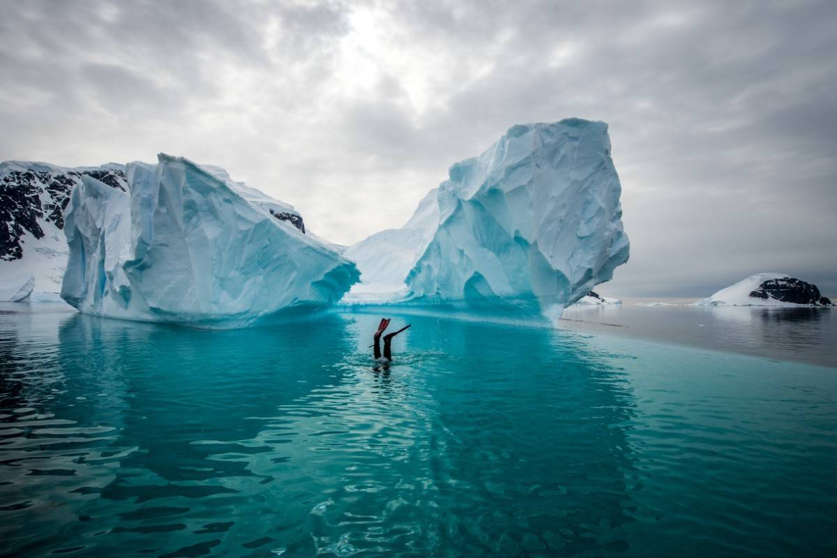 Antarctic Circle and Weddell