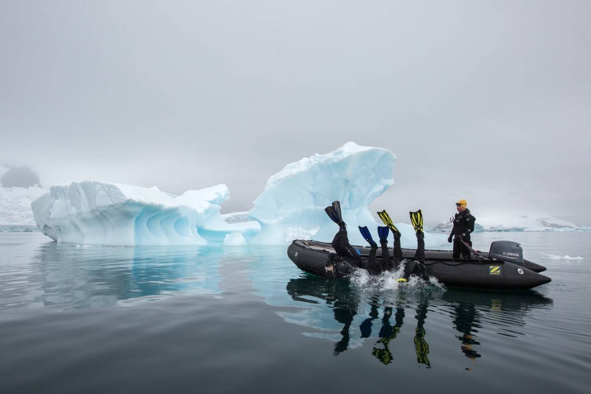  Antarctic Peninsula In Depth