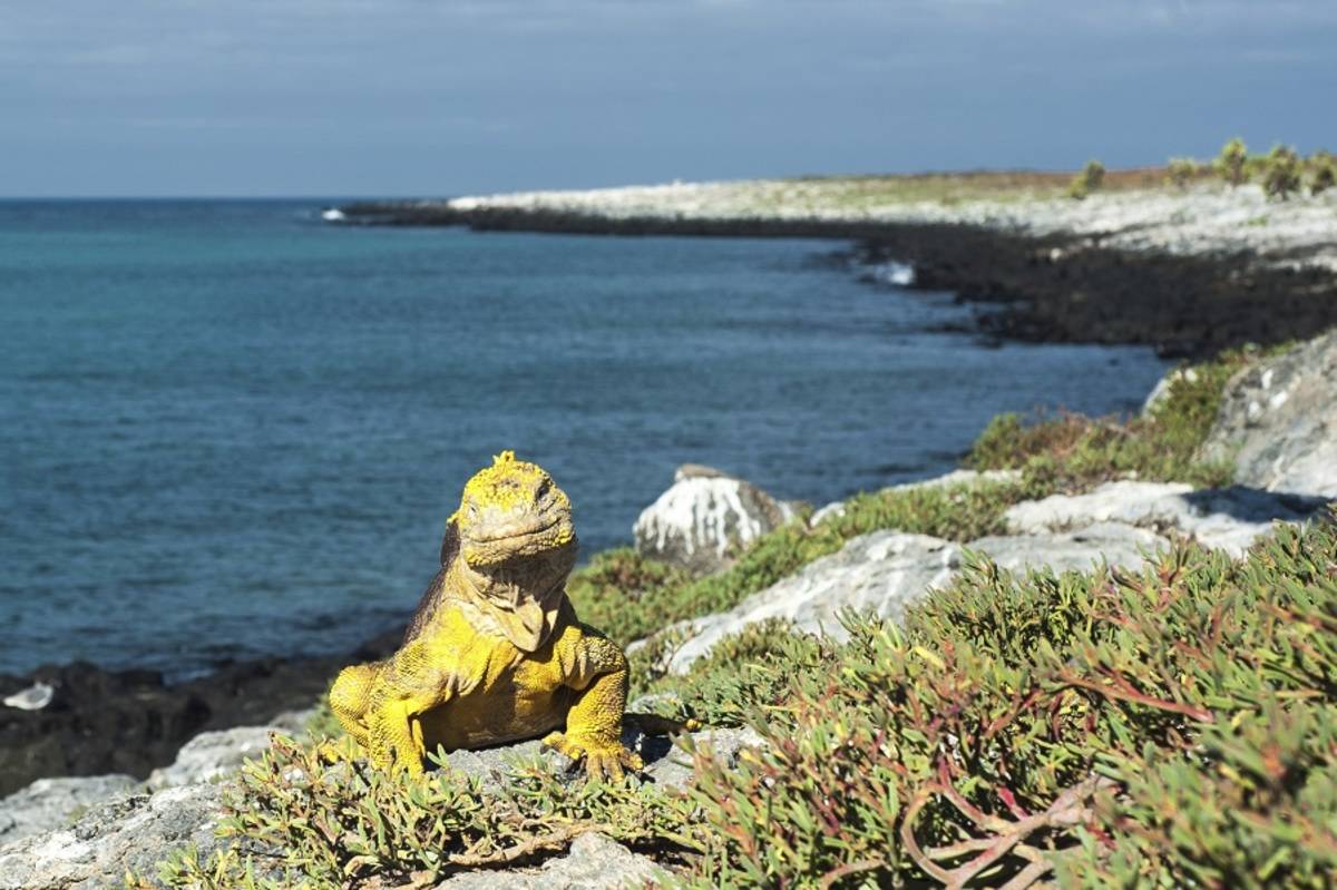 South East Galapagos Islands